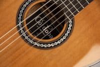 Cordoba C9 Cedar Classical Guitar inc Polyfoam Case